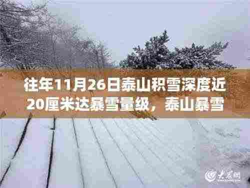 泰山暴雪现象揭秘,积雪深度争议与启示,近20厘米雪量的影响与反思