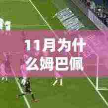 运输网络 第365页