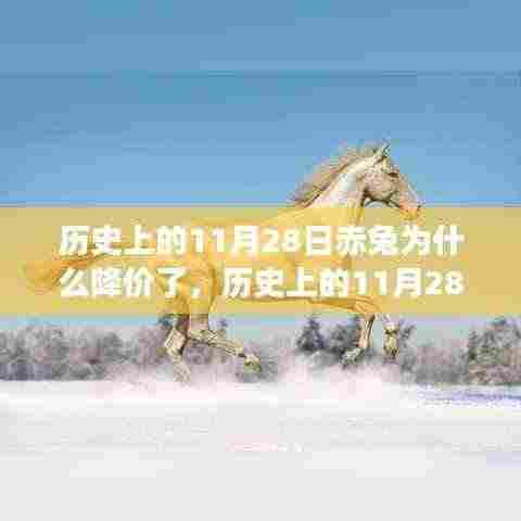 历史上的11月28日赤兔马匹价格骤降背后的原因,产品特性、体验、竞品对比与用户分析