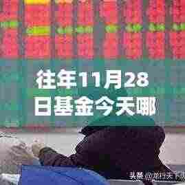 揭秘往年11月28日基金表现,涨跌分析及其未来展望