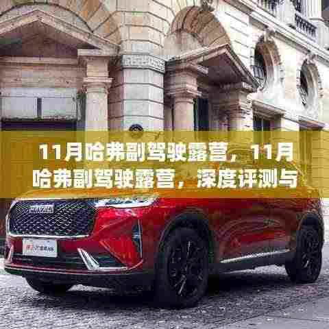 在线留言 第388页