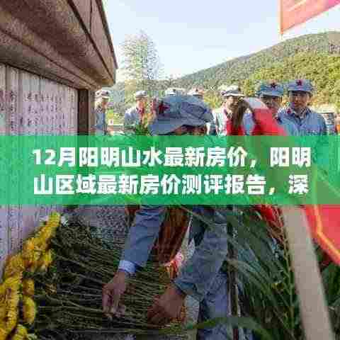 阳明山水最新房价测评报告,深度解析楼盘特性与优劣,十二月阳明山区域房价走势分析
