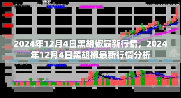2024年12月4日黑胡椒行情深度分析,最新市场动态揭秘
