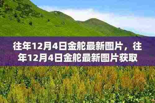 往年12月4日金舵最新图片获取攻略,高清美图轻松获取步骤揭秘