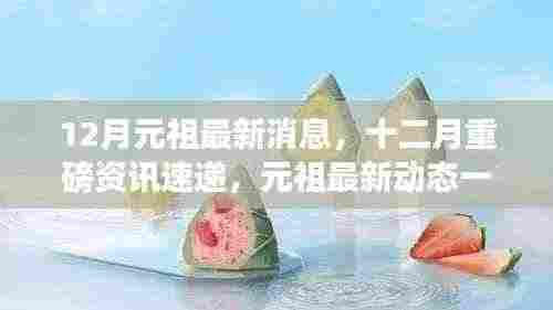 12月元祖最新动态与资讯速递