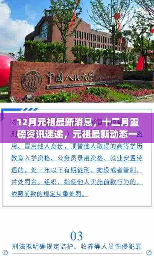 12月元祖最新动态与资讯速递