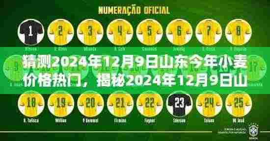 揭秘山东小麦价格走势,热门预测背后的真相,预测2024年山东小麦价格走势分析。