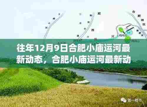 合肥小庙运河最新动态揭秘，特性、体验与竞争态势的深度解析
