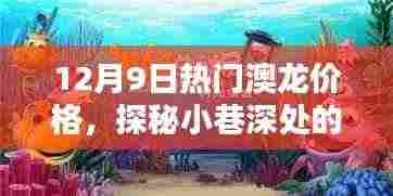 独家揭秘,12月9日澳龙价格走势,探寻小巷深处的海鲜宝藏