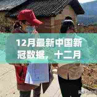 中国十二月新冠数据概览,背景、进展与影响分析