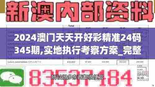 2024澳门天天开好彩精准24码345期,实地执行考察方案_完整版3.398