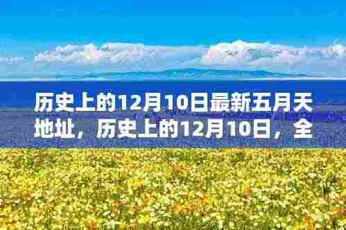 历史上的12月10日与全新五月天地址深度测评揭秘
