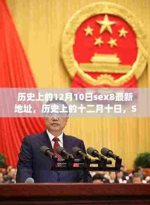 Sex8事件背景揭秘,十二月十日历史上的深远评价与最新地址探索