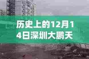 深圳大鹏隐秘小巷天气故事与奇遇,历史天气回顾与特色小店探访