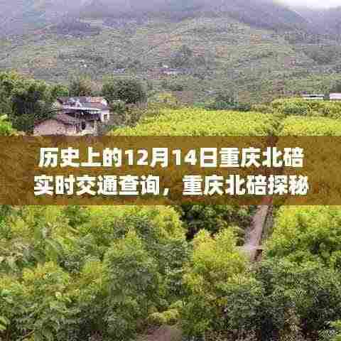 历史上的今天,重庆北碚的交通与自然美景探秘