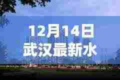 武汉最新水位实时查询系统评测与介绍,实时掌握水位动态,保障城市安全