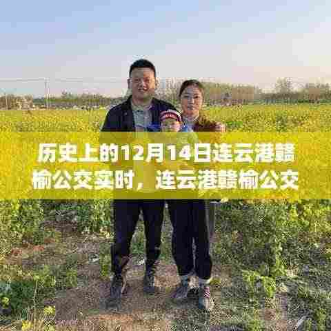 连云港赣榆公交暖心故事,友谊与陪伴的纪念日——历史上的12月14日实时记录