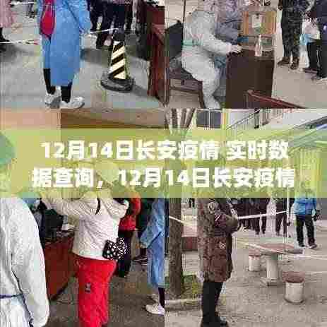 长安疫情实时数据查询,最新动态与防控进展报告(12月14日)