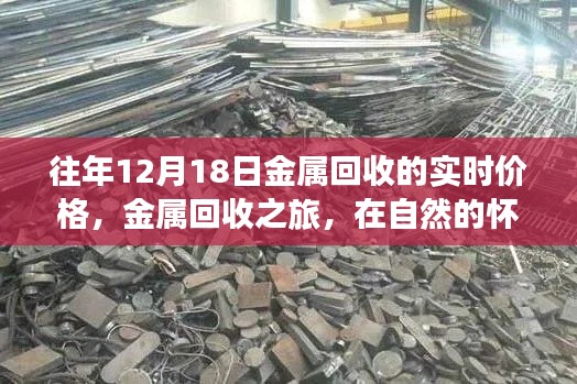 金属回收实时价格，在自然的怀抱中探寻内心的宁静与喜悦之旅