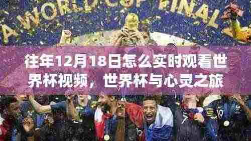 往年世界杯决赛日,拥抱自然美景,实时感受足球与心灵之旅的魅力