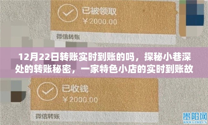 探秘小巷深处的转账秘密,一家特色小店的实时到账经历