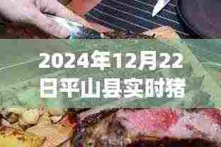平山县特色猪肉店,探秘小巷深处的猪肉新鲜故事与实时价格(2024年12月22日)