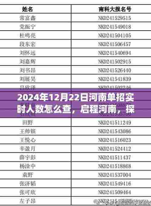 河南单招实时人数探寻之旅,启程探寻背后的自然秘境与心灵之旅(2024年12月22日)