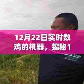 揭秘,实时数鸡机器背后的科技奇迹,探寻12月22日的科技秘密