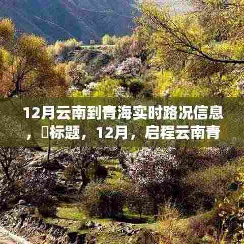 启程云南青海,探寻世外桃源,实时路况信息尽在掌握。