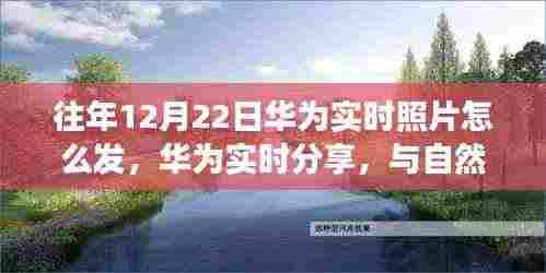 下马看花 第4页