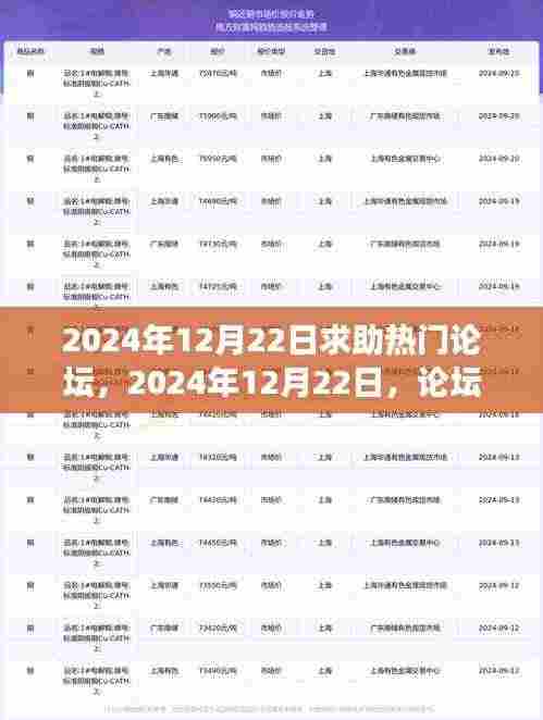 暖心故事集结论坛，友情、困境与家的温暖在2024年12月22日的论坛求助
