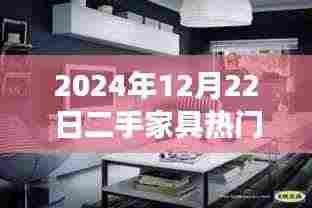 二手家具视频广告盛宴,专业解读与深度剖析(2024年12月22日版)