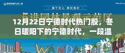 冬日暖阳下的宁德时代,热门股的投资故事