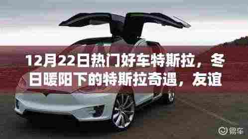 冬日暖阳下的特斯拉奇遇,友谊与爱在特斯拉的传递