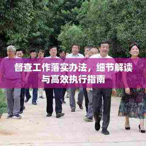 督查工作落实办法，细节解读与高效执行指南