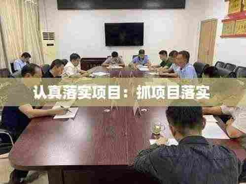 认真落实项目:抓项目落实