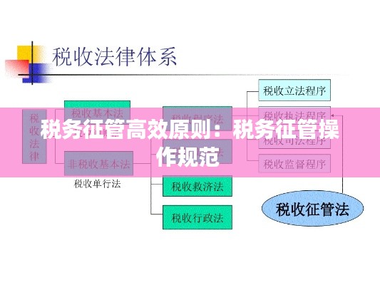税务征管高效原则：税务征管操作规范 