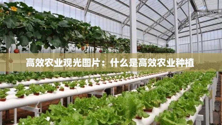 花容月貌 第4页