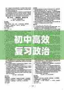 初中高效复习政治答案:政治高效课堂九年级