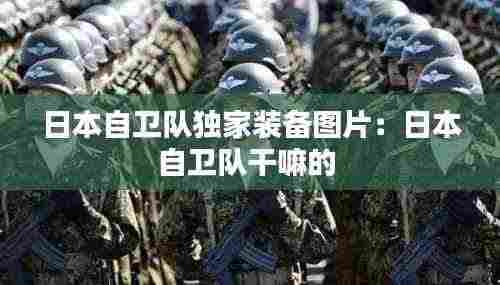 日本自卫队独家装备图片：日本自卫队干嘛的 