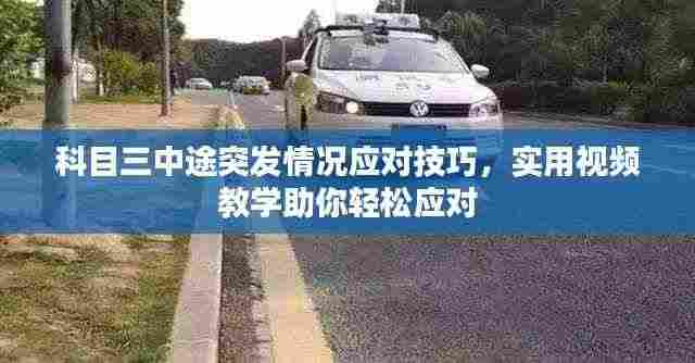 科目三中途突发情况应对技巧,实用视频教学助你轻松应对