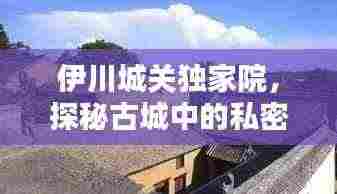 伊川城关独家院,探秘古城中的私密宅邸
