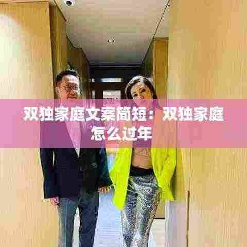 双独家庭文案简短:双独家庭怎么过年