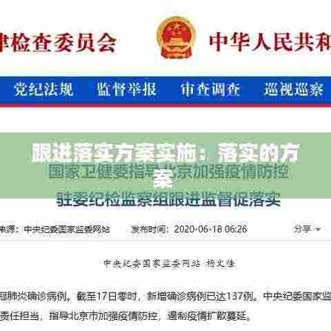 跟进落实方案实施:落实的方案