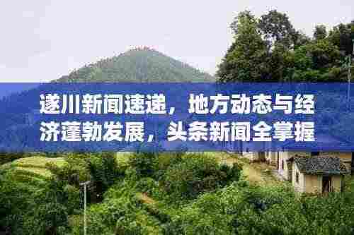 遂川新闻速递,地方动态与经济蓬勃发展,头条新闻全掌握