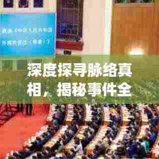 深度探寻脉络真相，揭秘事件全貌的完整报道