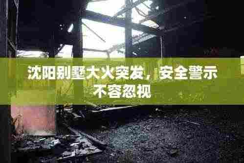 沈阳别墅大火突发,安全警示不容忽视