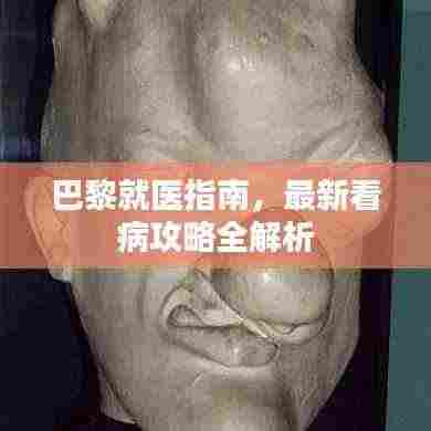 巴黎就医指南,最新看病攻略全解析