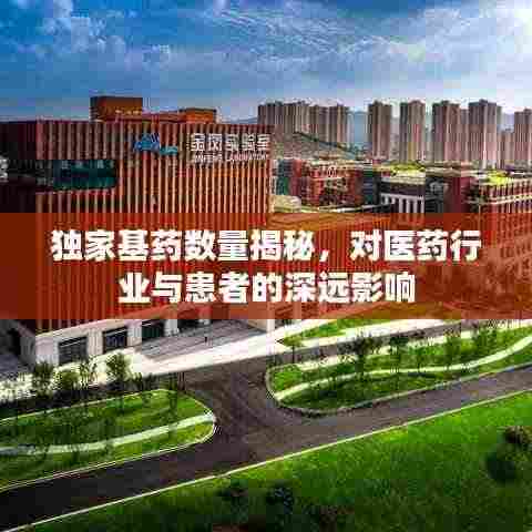 独家基药数量揭秘,对医药行业与患者的深远影响