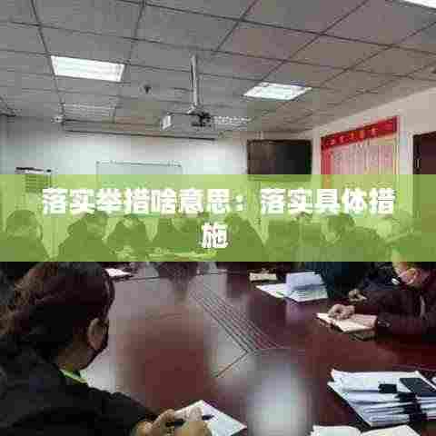 落实举措啥意思：落实具体措施 